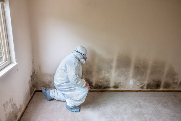 Best Mold Removal Process  in Oakland, OK