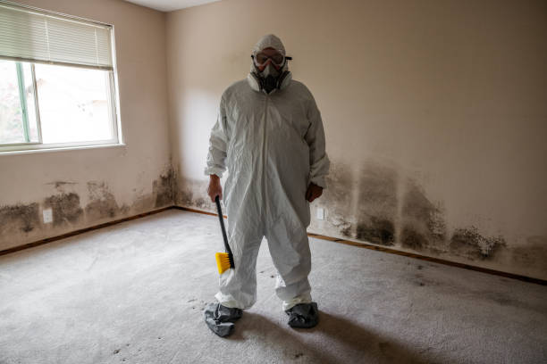 Best Toxic Mold Removal  in Oakland, OK