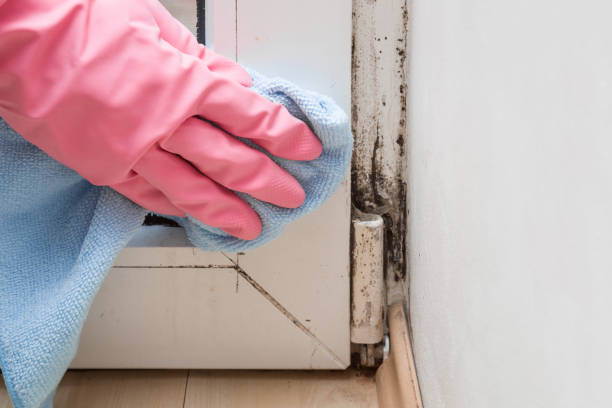 Crawl Space Mold Removal in Oakland, OK